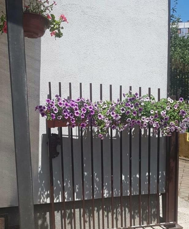 Sun Garden Sarajevo Aparthotel Exteriör bild